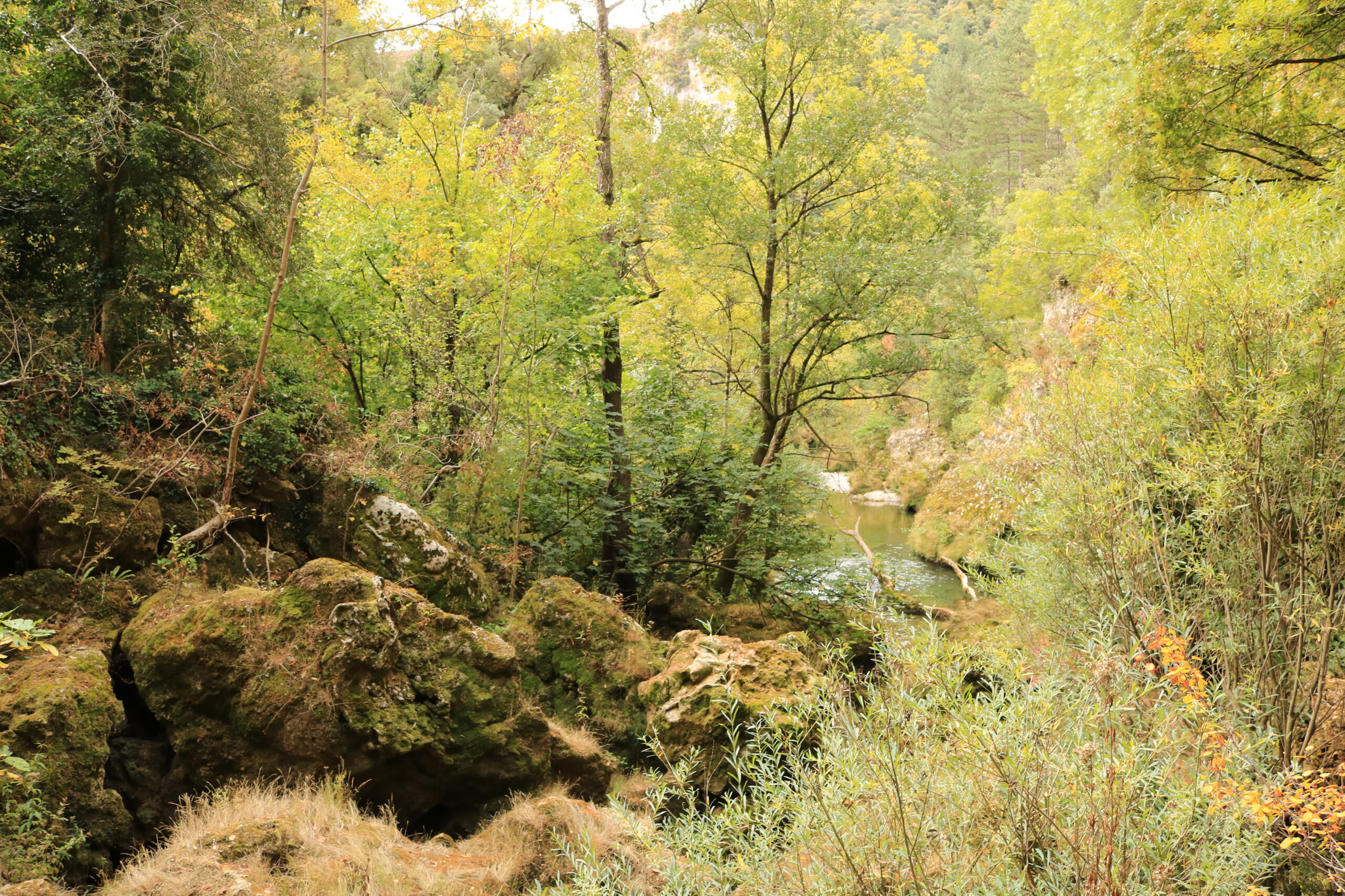 Gorges de la Vis