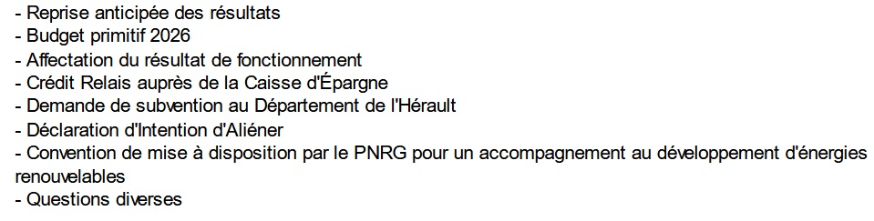 Ordre du jour du Conseil Municipal de la Commune de St-Maurice Navacelles du vendredi 13 fevrier 2026